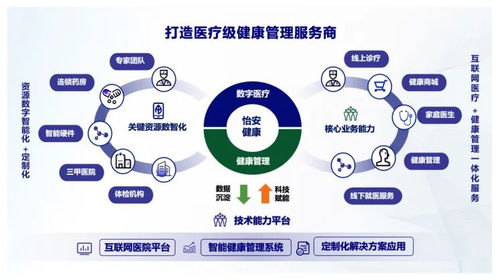 對話怡安醫(yī)療創(chuàng)始人 視頻醫(yī)生7 24小時接診背后的健康管理產(chǎn)業(yè)布局變革